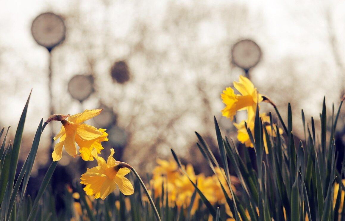 Beispiel für Infopunkt in einem Raum